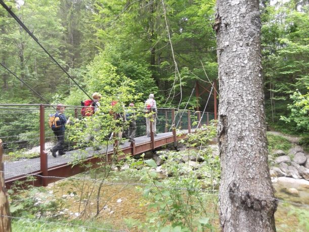 Wanderung-Wildes-Wasser-Buchenegger-Wasserfälle-006