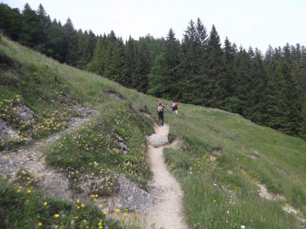 Wanderung-Wildes-Wasser-Buchenegger-Wasserfälle-020