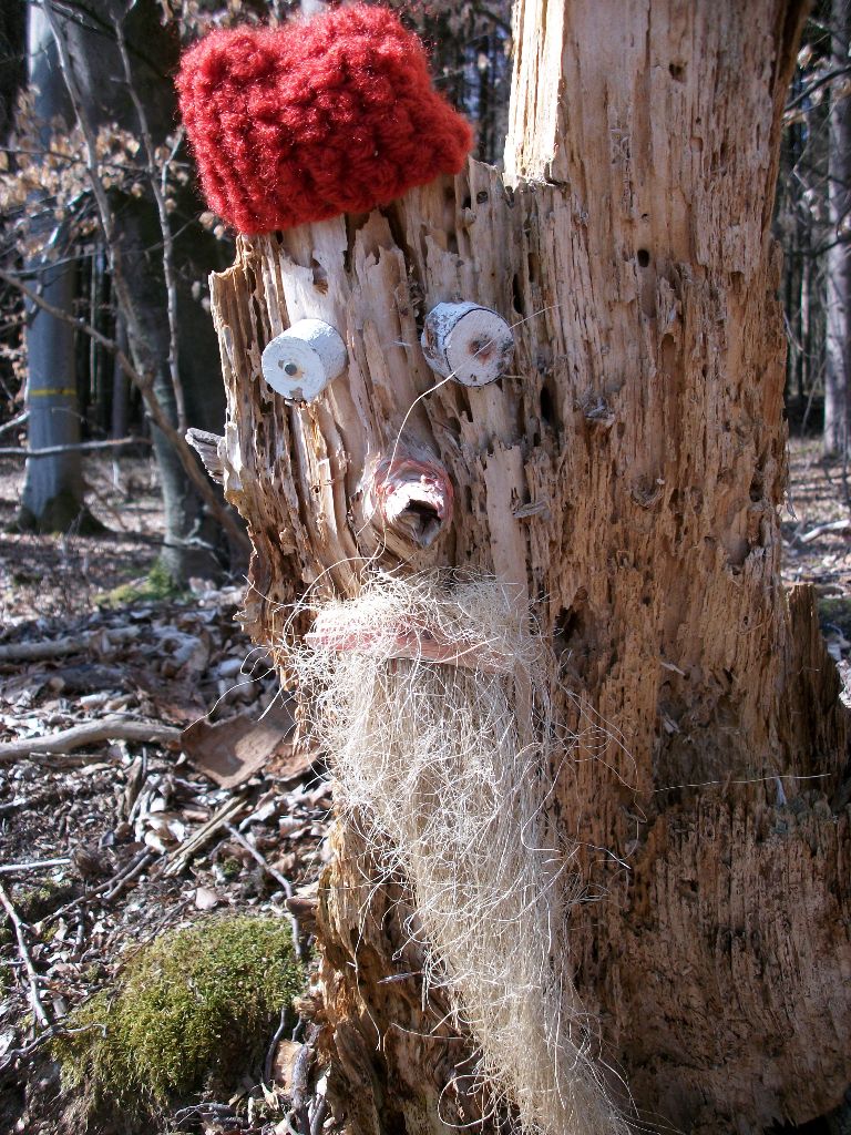 Waldgeist Allgäuer Alpen - entdeckt bei der Wanderung