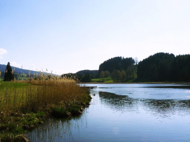 Wandern zum Hengelesweiher in Maierhöfen