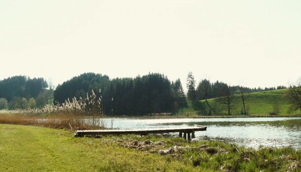 Wanderroute zum Hengelesweiher in Maierhöfen im Allgäu