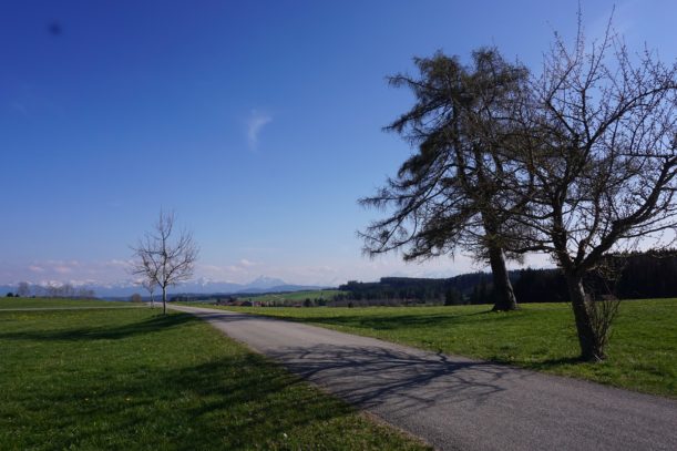 Willkommen bei Hoyer Honig - Mit der Kraft der Natur! –