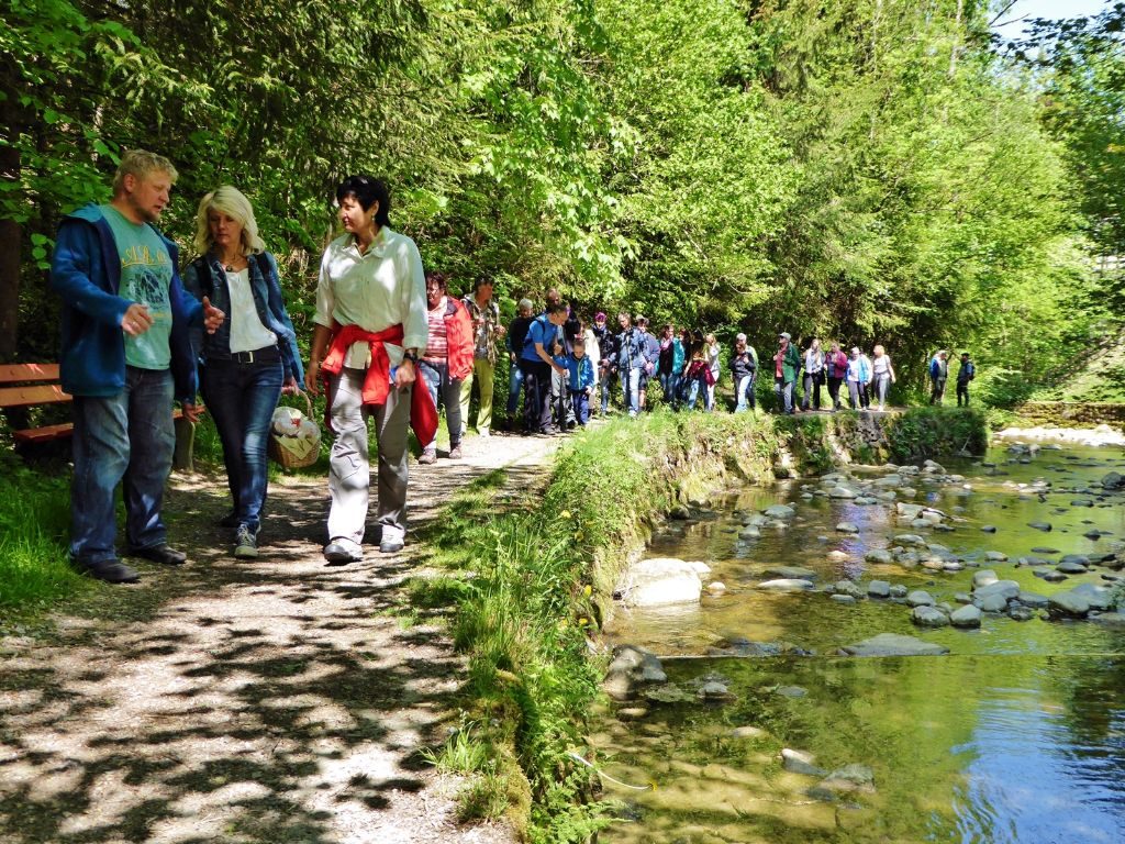 Wildkräuterführungentlang des Hausbachs in Weiler im Allgäu