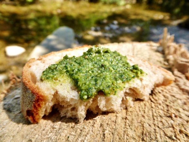 Wildkräuterführung - Giersch-Pesto