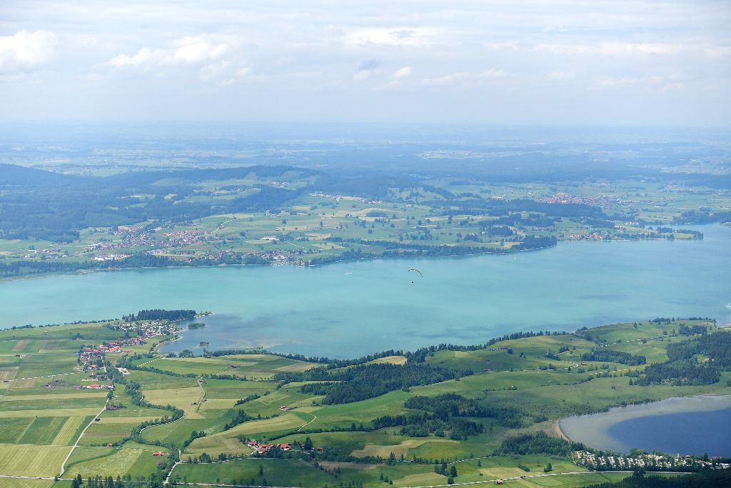 Aussicht vom Latschenkopf auf den Forggensee