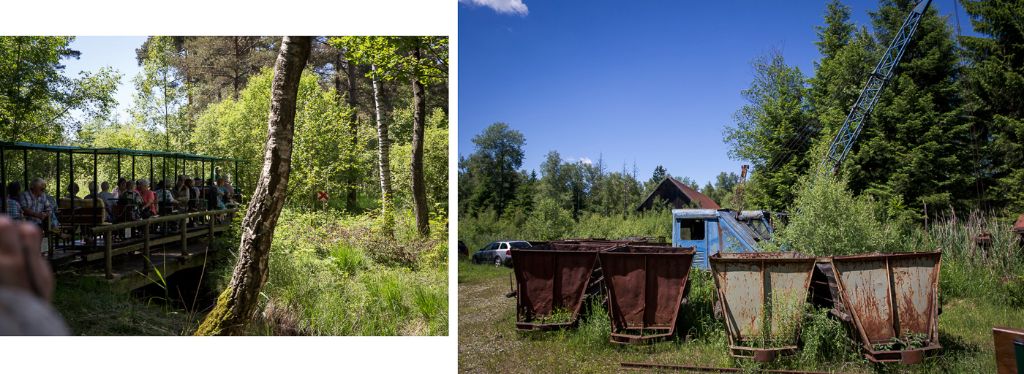Unterwegs im Wurzacher Ried, mit der historischen Torfbähnle