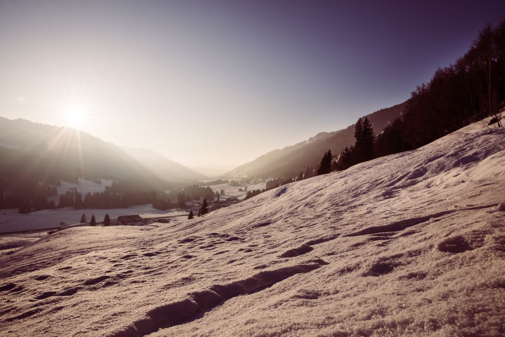 Ein Kraftort im Allgäu - die Alten Eiben in Balderschwang wachen über das Tal.