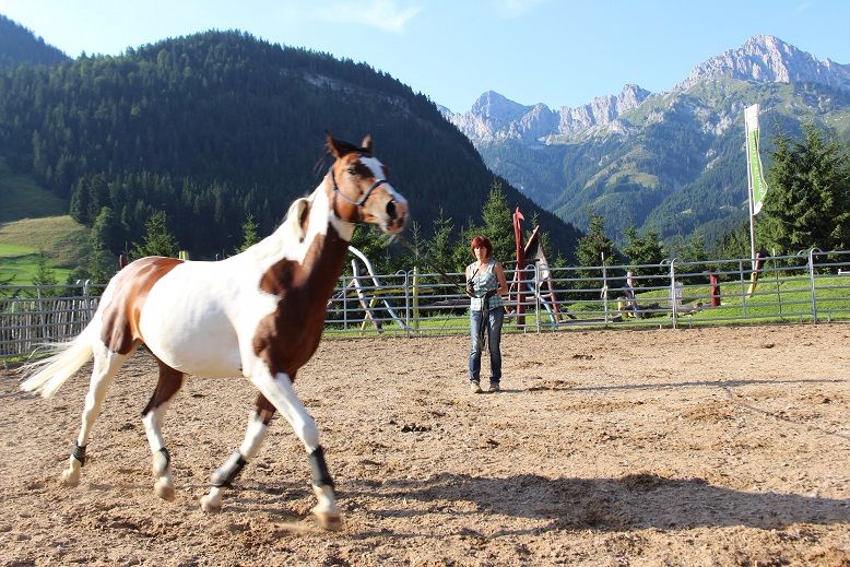 Reiterhof Berggut Gaicht im Tannheimer Tal, Tirol