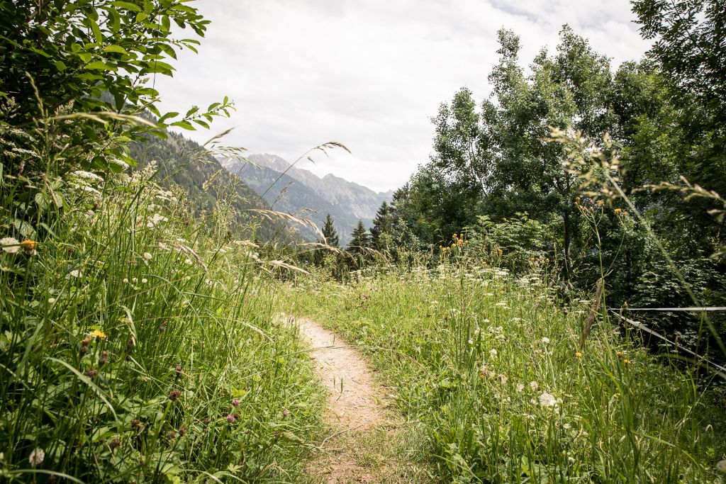 Schöner ursprünglicher Wanderweg zwischen den Wiesen 