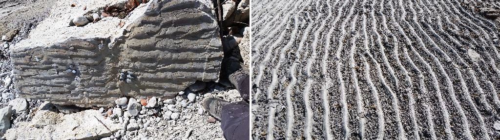 Rippelmarken - fossil (links) und rezent (rechts)